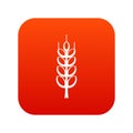 Ripe spike icon digital red