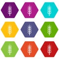 Ripe spike icon set color hexahedron