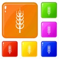 Ripe spike icons set vector color