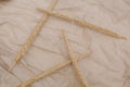 Ripe spikelet natural wheat beige linen fabric