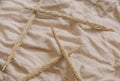 Ripe spikelet natural wheat beige linen fabric