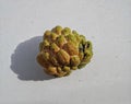 Ripe srikaya fruit on a gray background, yellow mixed with green