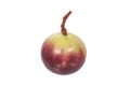 Ripe star apple fruit