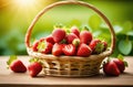 ripe strawberries, on the background of a strawberry field, orchard, sunny day Royalty Free Stock Photo