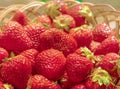 Ripe strawberries in a basket. Strawberry season. Royalty Free Stock Photo