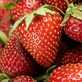 Ripe strawberries. Close macro view of fruit pattern. Royalty Free Stock Photo