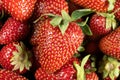 Ripe strawberries. Close macro view of fruit pattern. Royalty Free Stock Photo