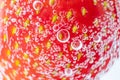 Ripe strawberries close-up in sparkling mineral water