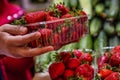 Ripe strawberries in a container in the hands of a seller of fruits and vegetables at the market. Close-up. Berry season. Vitamins