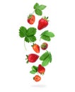 Ripe strawberries with green leaves in the air isolated on white background Royalty Free Stock Photo