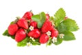 Ripe strawberries Royalty Free Stock Photo