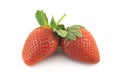 Ripe strawberries isolated closeup Royalty Free Stock Photo