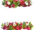 Ripe strawberries isolated on a white. Strawberries at border of image with copy space for text. Top view. Various fresh summer fr Royalty Free Stock Photo