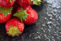 Ripe strawberries. Juicy ripe strawberries with drops of water on a wet dark background. Red berries. Copy space. Close-up. Royalty Free Stock Photo