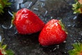 Ripe strawberries. Juicy ripe strawberry with drops of water on a wet background. Two red berries. Close-up. Selective focus Royalty Free Stock Photo