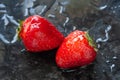 Ripe strawberries. Juicy ripe strawberries with water drops on a wet background. Two red berries. Close-up. Selective focus Royalty Free Stock Photo