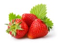 Ripe strawberries with leaves isolated on a white