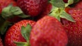 Ripe strawberries with leaves rotate close up