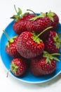 Ripe strawberries lie on a blue plate. Close-up. Top view