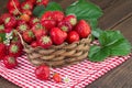 Ripe Strawberries in old Basket Royalty Free Stock Photo