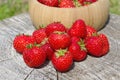 Mature strawberries on an stump close-up
