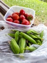Ripe strawberries in a plastic container and sweet, green peas in plastic bag. Healty snack in nature