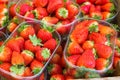 Ripe strawberries in plastic trays on store counter Royalty Free Stock Photo