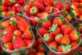 Ripe strawberries in plastic trays on store counter Royalty Free Stock Photo