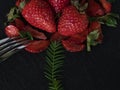 Ripe strawberries with shiny metal fork Royalty Free Stock Photo