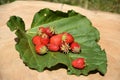 Ripe strawberries on a stump