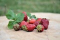 ripe strawberries on a stump