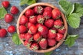 Ripe strawberries in wooden bowl and green leaves Royalty Free Stock Photo