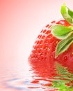 Ripe strawberry Royalty Free Stock Photo