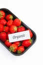 Ripe strawberry in black container on white background Royalty Free Stock Photo