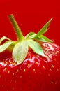 Ripe strawberry close-up on a red background Royalty Free Stock Photo