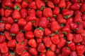 Strawberry. Fresh organic strawberries macro. Red strawberry background, top view, horizontal, vertical Royalty Free Stock Photo