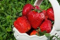 Ripe strawberry on green grass