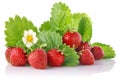 Ripe strawberry with green leaves