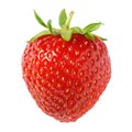 Ripe strawberry isolated Royalty Free Stock Photo