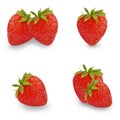 Ripe strawberry isolated  white background Royalty Free Stock Photo