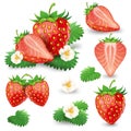 Ripe strawberry with leaves and blossom set Royalty Free Stock Photo