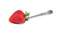 Ripe strawberry on a spoon Royalty Free Stock Photo