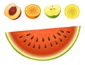 Ripe striped watermelon realistic juicy fruits slice apple vector illustration slice green isolated ripe melon. Royalty Free Stock Photo