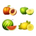 Ripe striped watermelon realistic juicy fruits slice apple vector illustration slice green isolated ripe melon.