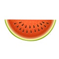 Ripe striped watermelon realistic juicy vector illustration slice green isolated ripe melon. Royalty Free Stock Photo