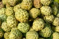 Ripe Sugar Apple, Cherimoya