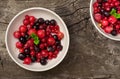 Ripe summer berries with mint and ice Royalty Free Stock Photo