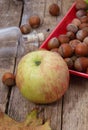 Ripe,sweet apple Royalty Free Stock Photo