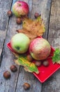 Ripe,sweet apple autumn harvest Royalty Free Stock Photo