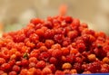 Red berry raspberries